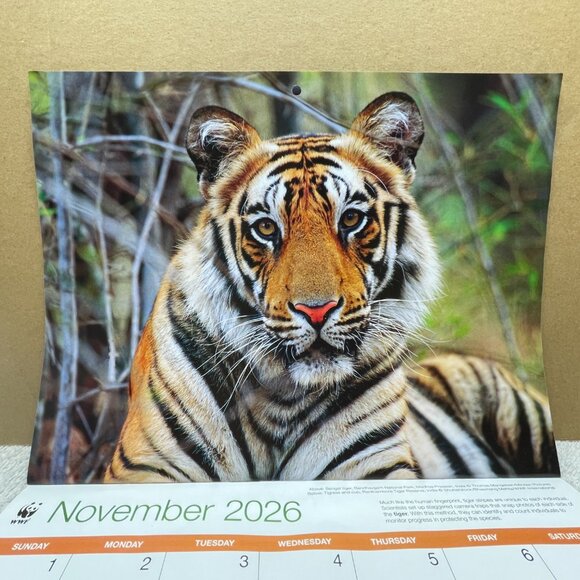 NWOT World Wildlife Fund 16-Mo. Wall Calendar, 9/2025 - 12/2026, 11"T x 8 1/2"W - Picture 14 of 16
